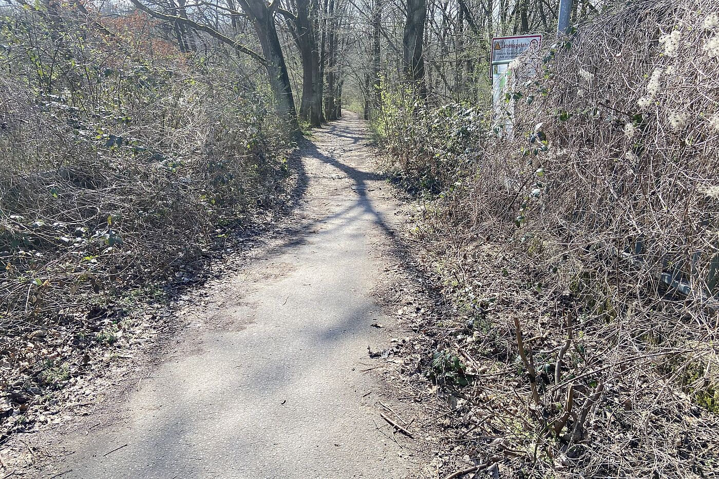 Bild_5a Rennweg von der Autobahnbrücke in die Wahner Heide