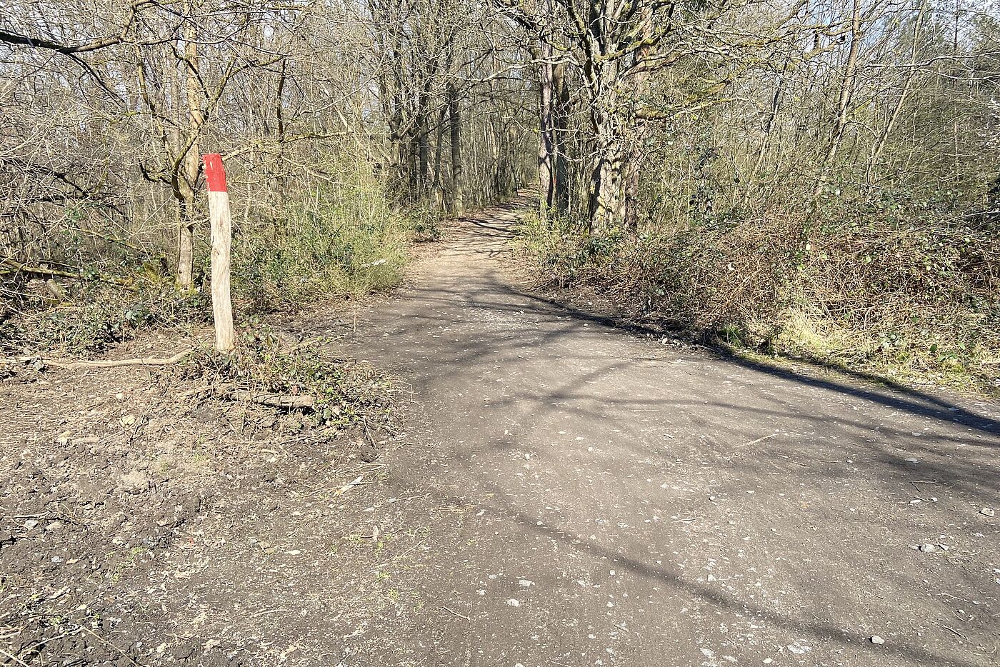 Bild_5c Rennweg von der Autobahnbrücke in die Wahner Heide